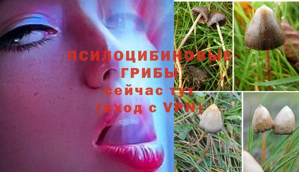 mdpv Наволоки