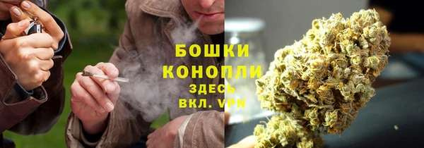 2c-b Надым