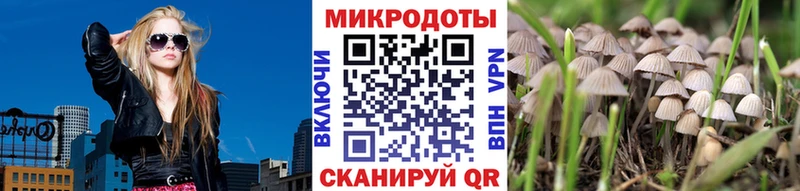 Галлюциногенные грибы мицелий  ОМГ ОМГ ссылки  Певек 